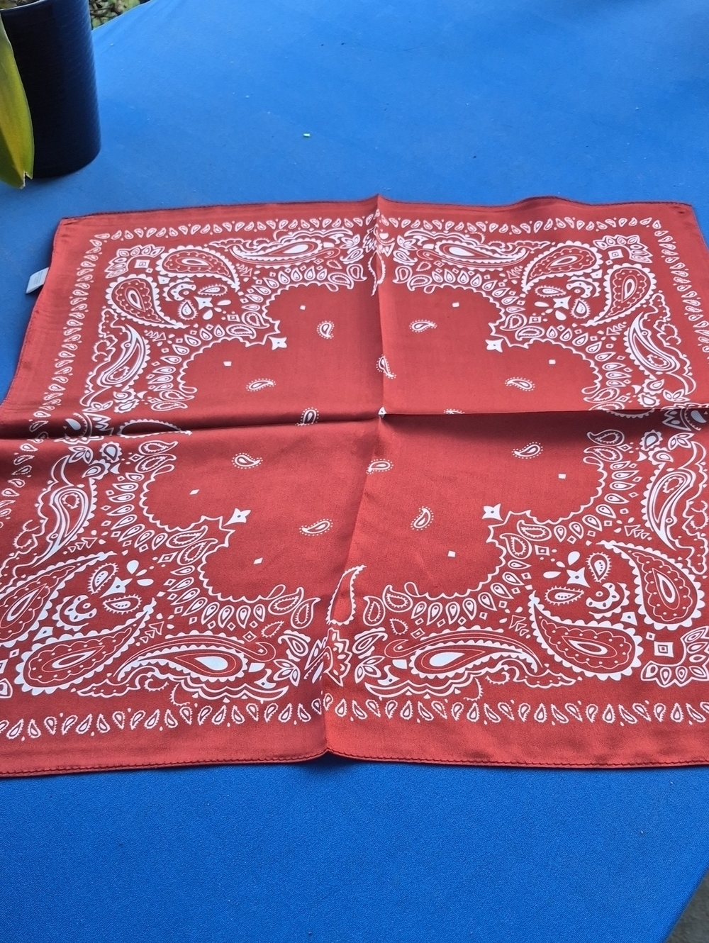 BANDANA PRINT SCARF 🐎 100% SILK 🐎 Perfect Gift! 🎁 20.87" x 20.87" 🌿 NWoT - Picture 2 of 4